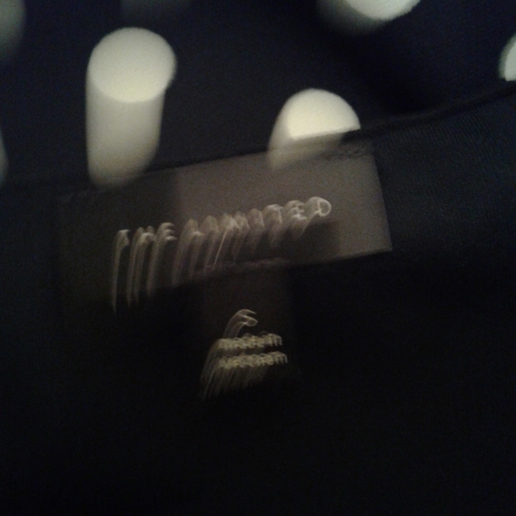 The Limited Polka Dot Strapless Dress - Picture 5 of 6